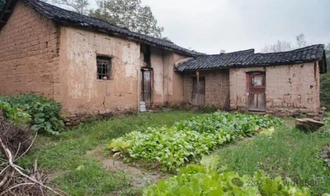 午寒露腊月雪”今年几点？有啥说法？麻将胡了app“上午寒露一冬暖下
