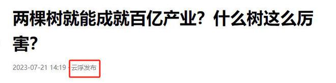 0年在广东被发现如今为当地成就百亿产业麻将胡了试玩模拟器仅存2株母树！196