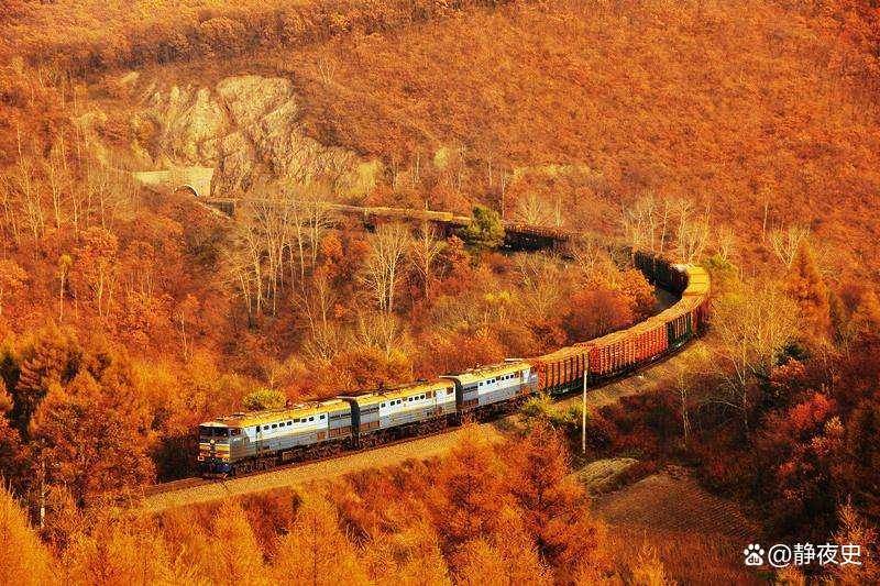 远东国际超前发展区对中国是不是陷阱？麻将胡了app开发远东中国先行？俄(图5)